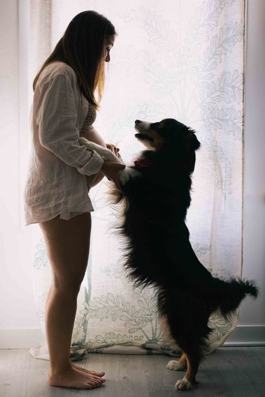Une femme enceinte dans avec son chien - Photographe de Grossesse Toulouse
