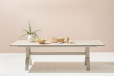 dining table with decorations, aloe vera 