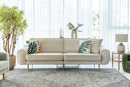 beige sofa a rug on a room setting