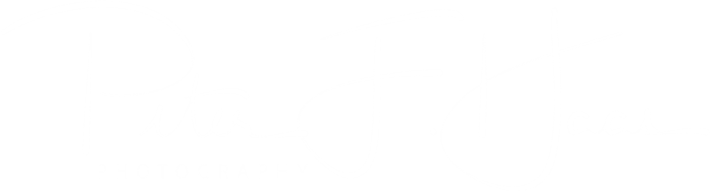 Peter F. Haas's Portfolio