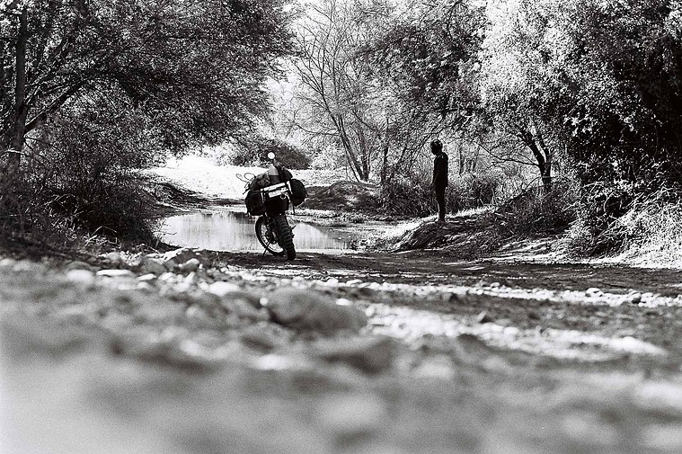 Contemplating river crossings
