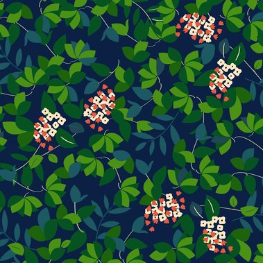 Motif Pattern - Atelier Blanc papier - Illustration - Design textile - Design packaging - Célia Charrier