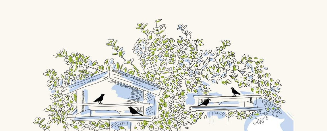 Nids à oiseaux - MNHN - Vigie-nature école - Recherche en biodiversité - Les oiseaux - les abris à oiseaux - Illustration - Atelier Blanc papier.