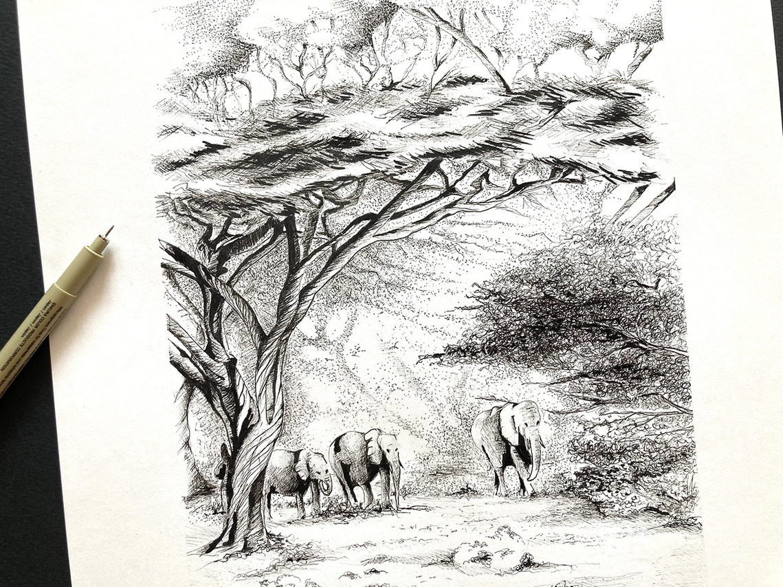 Afrique- Fèves de cacao - Tanzanie- Vincent Guerlais - Atelier Blanc papier