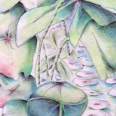 Jardin extraordinaire - Jardin mystérieux - Illustration - Crayons de couleur Fabercastel - Atelier Blanc papier - Célia Charrier