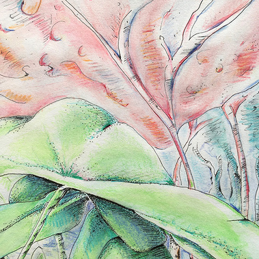 Jardin extraordinaire - Jardin mystérieux - Illustration - Crayons de couleur Fabercastel - Atelier Blanc papier - Célia Charrier