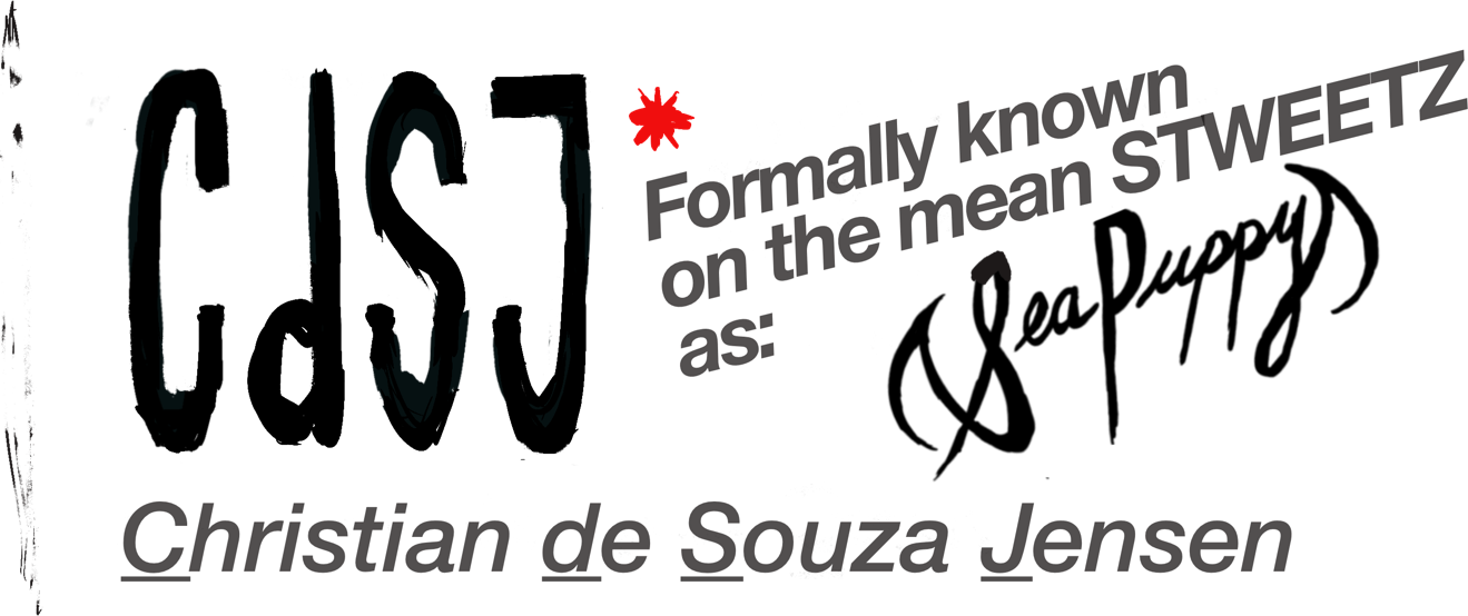 Selected Works of Christian de Souza Jensen