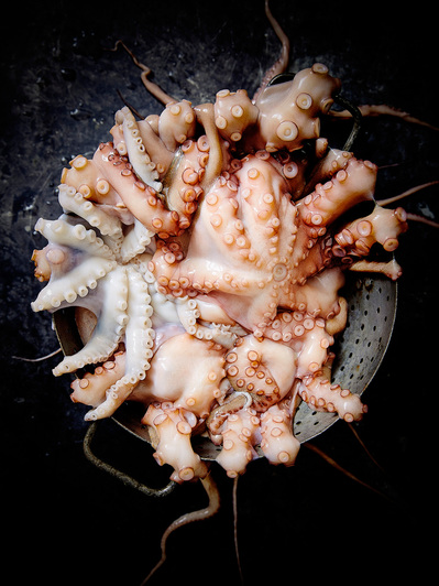 Octopus draining in a colander, perfect for editorial, advertising and restaurant food photography, shot by food photographer, Sid Ali