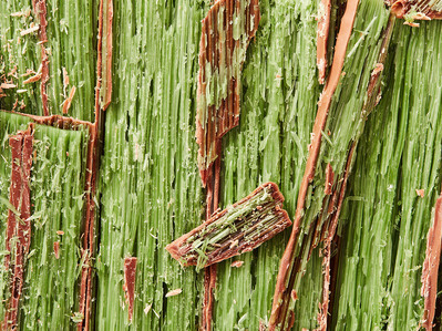 Close up peppermint crisp macro photogrphy, perfect for editorial, advertising and restaurant food photography, shot by food photographer, Sid Ali