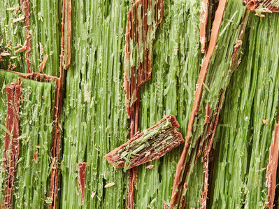 Close up peppermint crisp macro photogrphy, perfect for editorial, advertising and restaurant food photography, shot by food photographer, Sid Ali