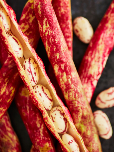 a close up macro of borlotti beans, perfect for editorial, advertising and restaurant food photography, shot by food photographer, Sid Ali