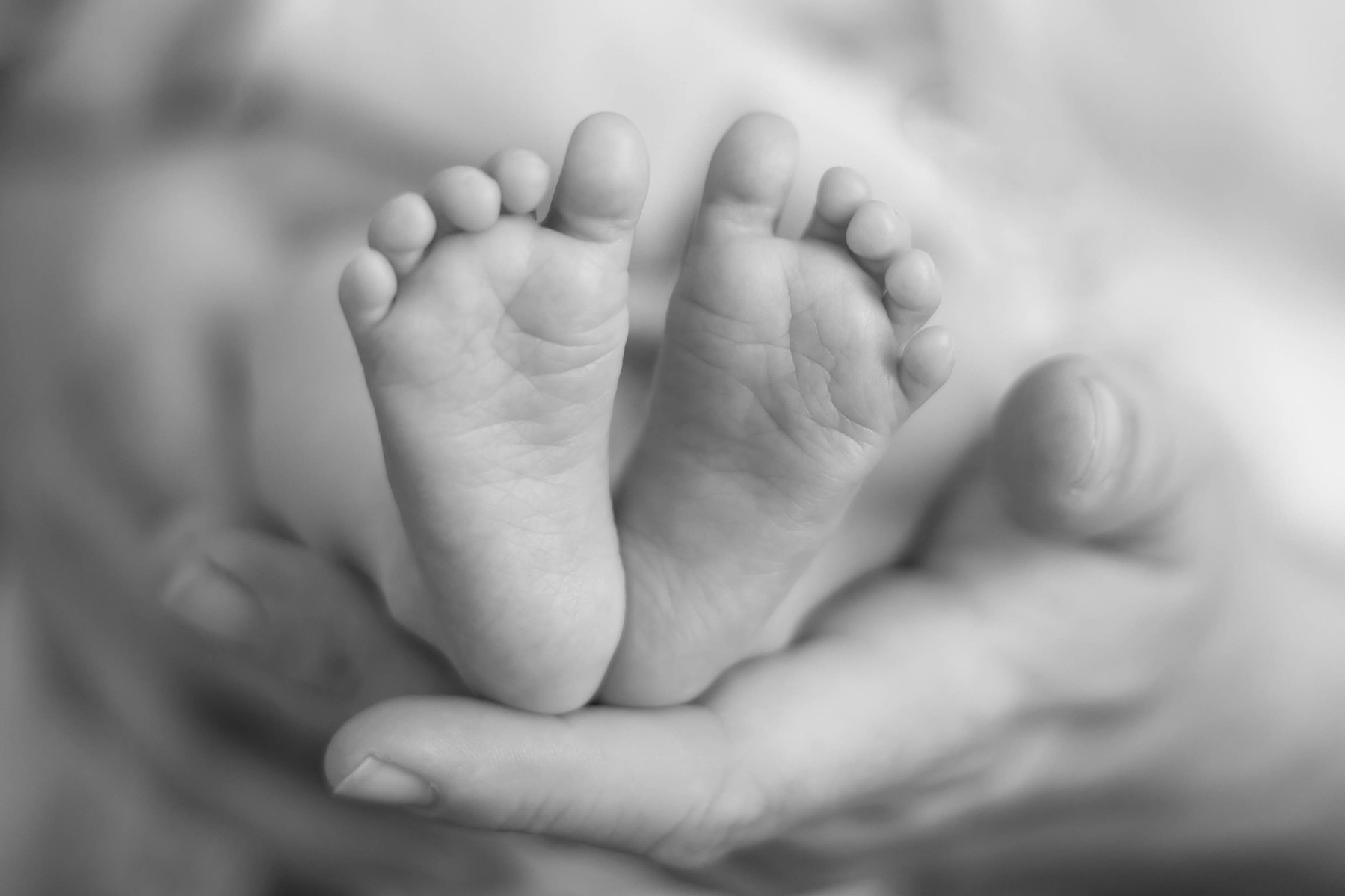 newborn feet held in parents hands 