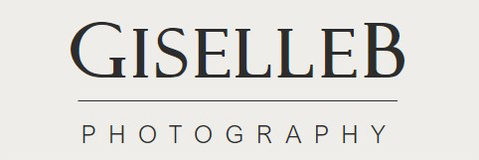 Headshot, Branding and Portrait Photography | Tauranga, NZ