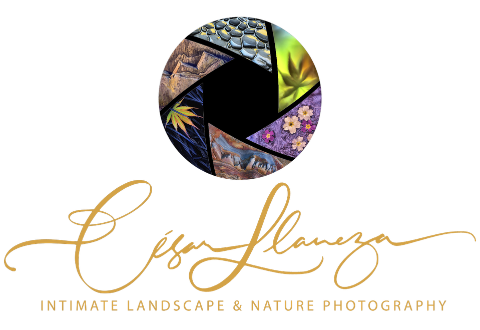 César Llaneza, Landscape and Nature Photogrphy