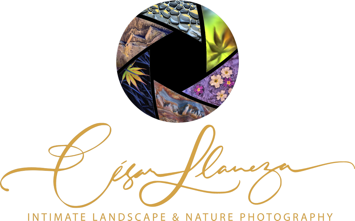 César Llaneza, Landscape and Nature Photogrphy