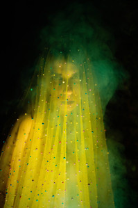 Fine Art Zander Fieschko photograph blonde model mermaid fashion studio godox sony alpha green tones smoke dream dreamy los angeles siren veiled witchcraft sorcery occult