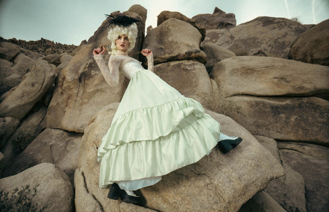 surreal fantasy joshua tree rococo gown victorian renaissance wig Marie Antoinette in the desert high fashion sony alpha photography zander fieschko zandervision