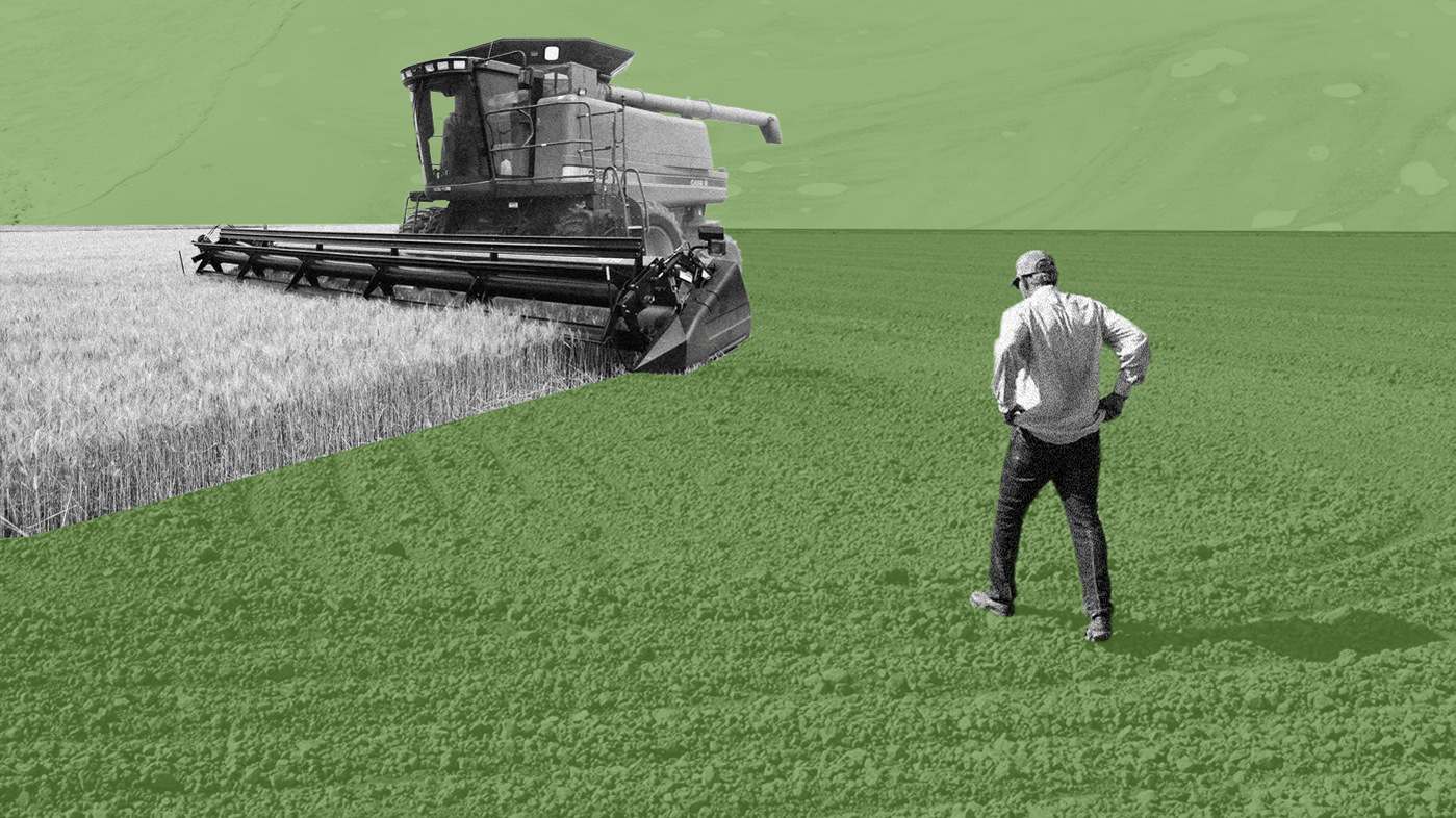 A man walks away from the camera in the direction of a combine working the field over a green-tinted background photo of dried, cracking ground