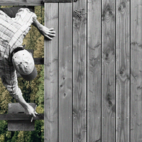 Photo illustration of construction worker working on wood paneling, in black and white and from above, with green-toned profile view of forest trees underneath spacing in the paneling. 