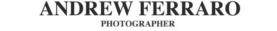 Portraits, Action, Commercial, Editorial