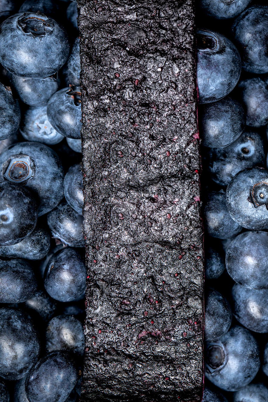 Strip of blueberry fruit leather on a bed of fresh blueberries. Images of blueberries for the blueberry council. 