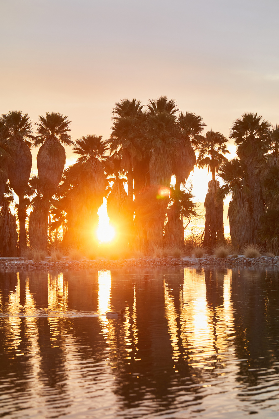 Sun setting across a lake with palm trees. Lifestyle fashion photography for The Buckle