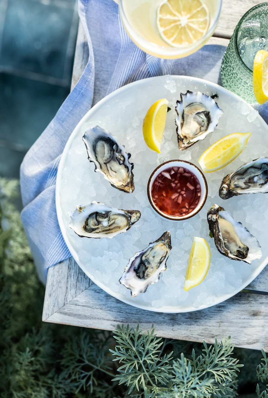 Overhead shot of oysters on a white plate with ice, arranged in a circle around a red sauce with lemons. Restaurant food photography on a patio table with bushes and sunlight. 