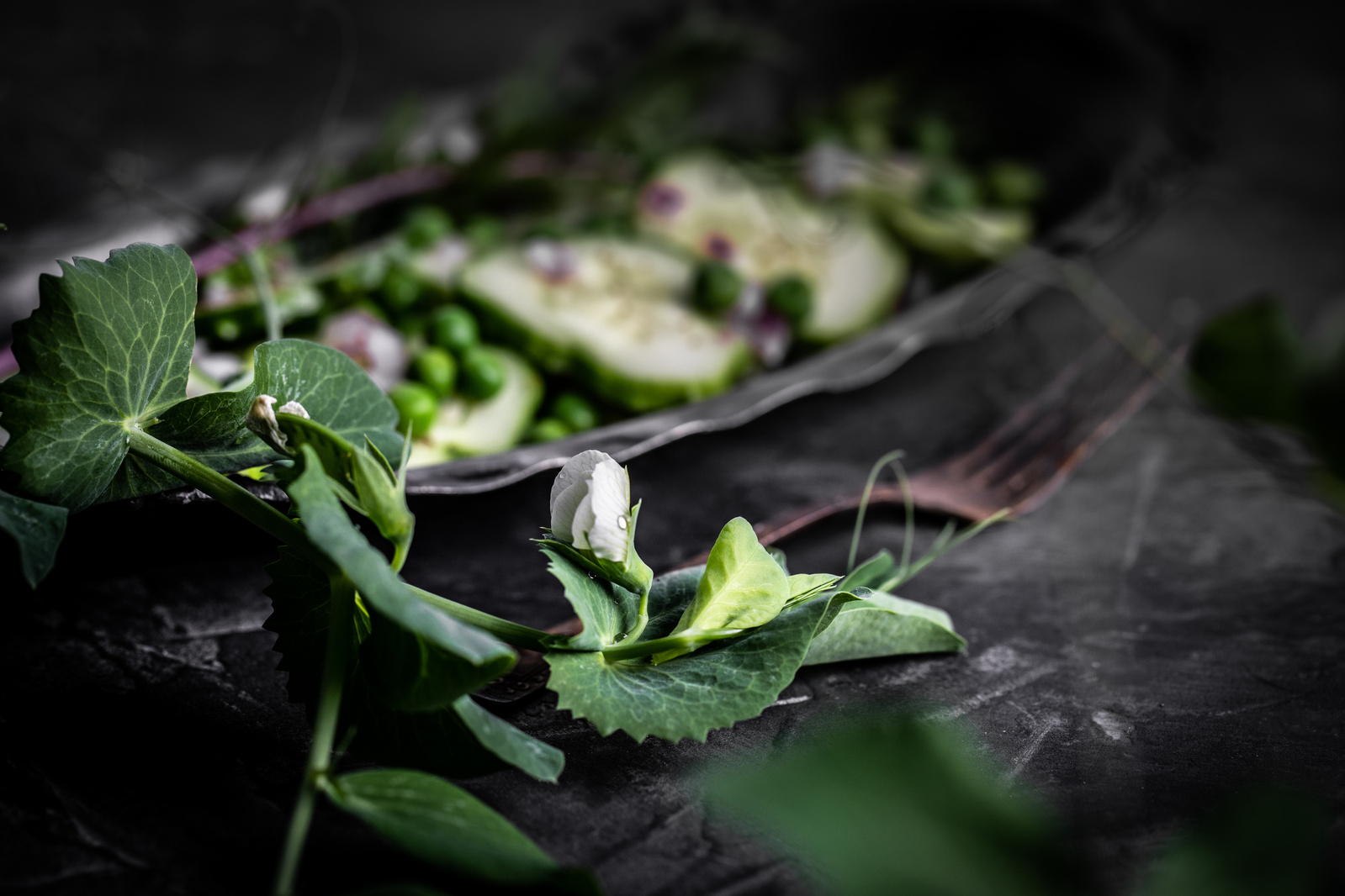 Moody food photography on a dark surface. Close up of pea blossom about to bloom. Out of focus in back is pea and cucumber salad in a flat dish. Photographer profile for Click Magazine Jena Carlin