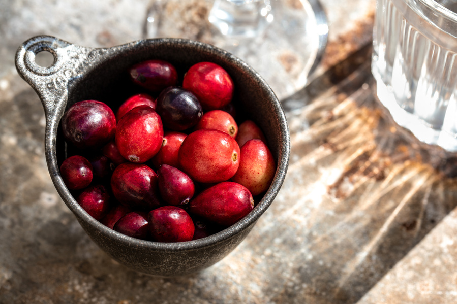 Tin measuring cup filled with fresh cranberries in a rusted surface with hard sunlight through a water glass. Creative food photography close up with bright feeling. 