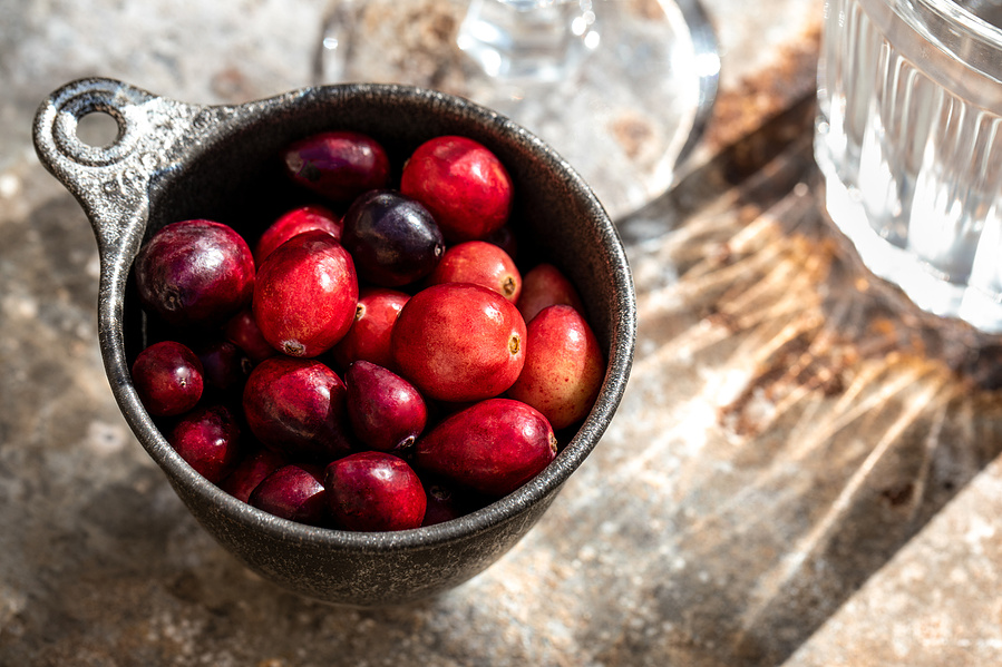 Tin measuring cup filled with fresh cranberries in a rusted surface with hard sunlight through a water glass. Creative food photography close up with bright feeling. 