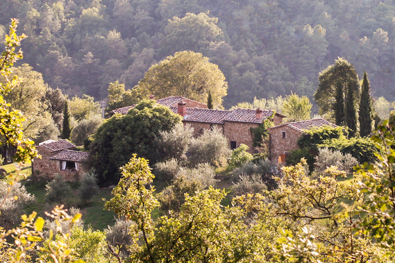 Ihr Urlaubsdomizil in der Nähe von Siena, Cortona und Arezzo