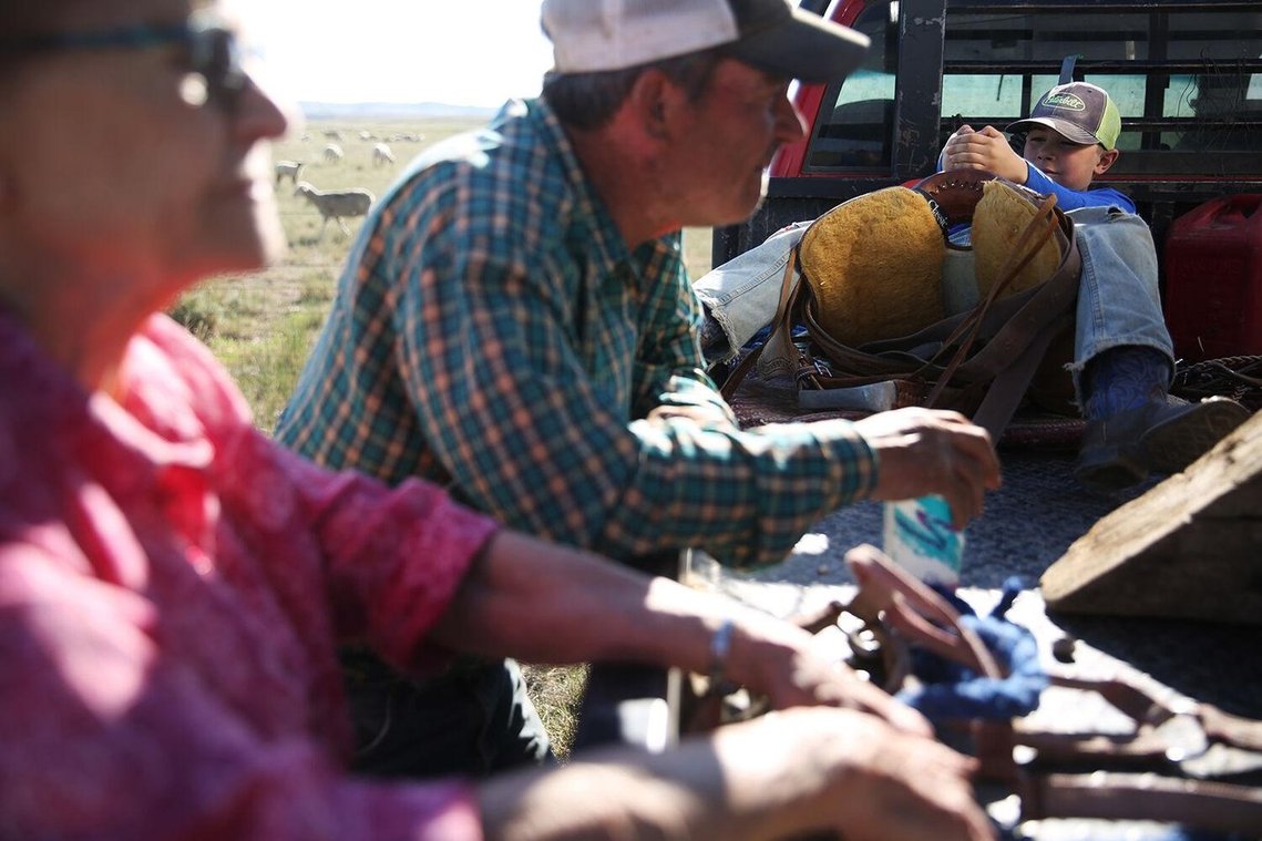 Ben pretends to ride a saddle bronc in the back of the truck while his dad and grandma, Ginger Curuchet, watch the sheep lapping into the day’s holding pasture. Ben was clear that he doesn’t want to be a bronc rider but instead wants to be a truck driver.