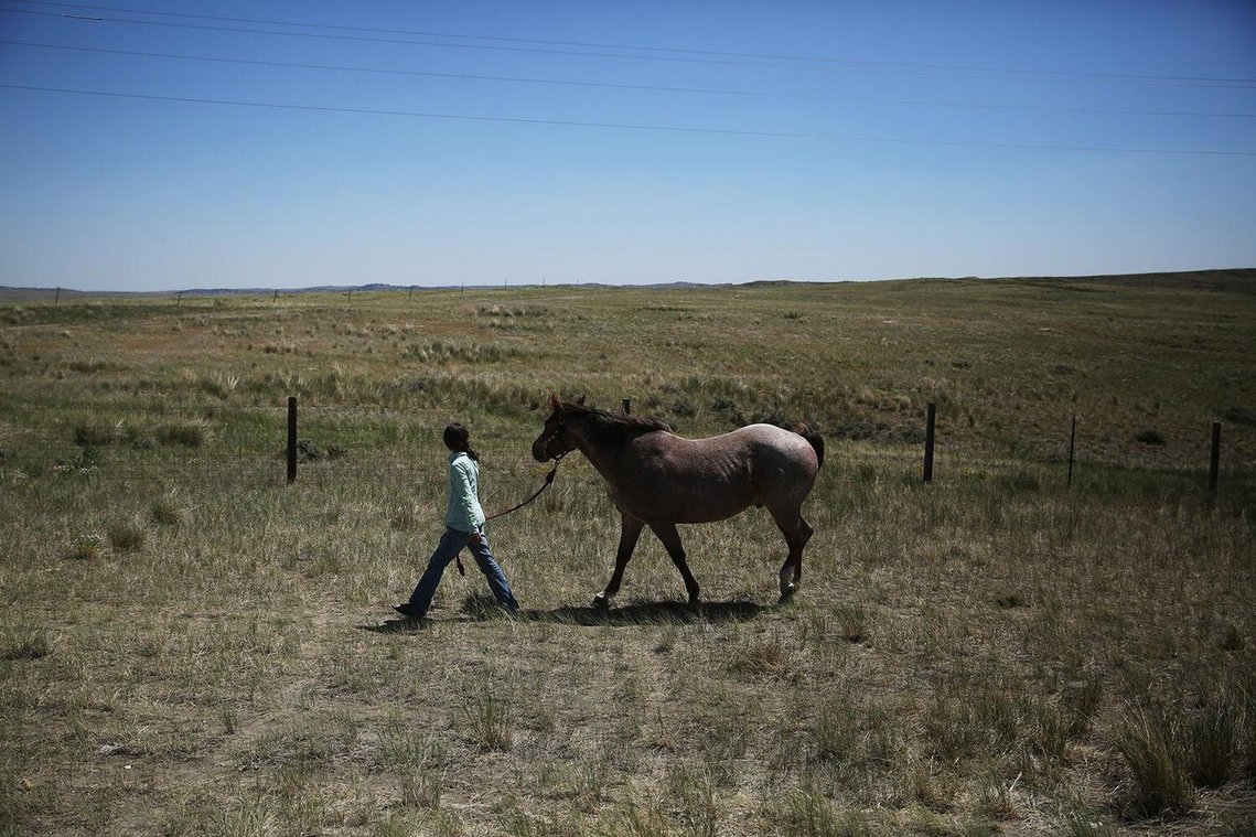 Making sure that all the horses got time to graze after the morning workout, Jaimie swapped horses midday so they could all eat. When the Curuchet’s moved the sheep through Kaycee, they only moved in the morning. 