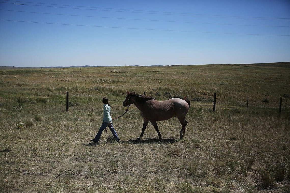 Making sure that all the horses got time to graze after the morning workout, Jaimie swapped horses midday so they could all eat. When the Curuchet’s moved the sheep through Kaycee, they only moved in the morning. 