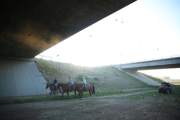 After pushing through town the pace of the move drastically slowed. The sheep were allowed to pass under the interstate overpasses at their own pace, letting them cool off and catch their breath after the morning jog through town. 