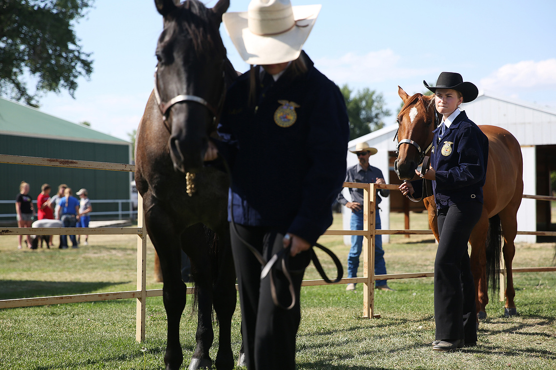 Elsa waited to be one of the last showmen into the ring for FFA showmanship - which she won - on July 26, the first day of horse showing. Elsa started with the horse project her first year in 4-H. Since then she has worked with a  different horses.