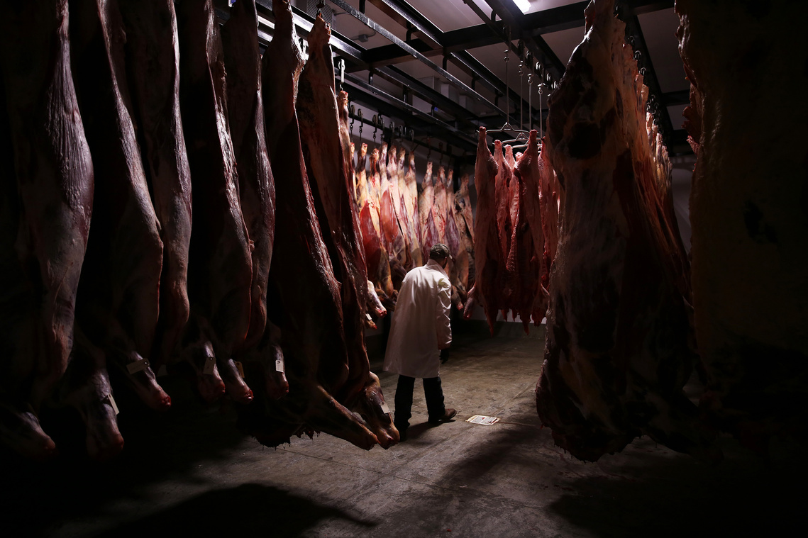 James Miller walks through the hanging cooler after moving scraps out of the cutting room. The cooler is kept at a temperature just above freezing so that the meat doesn't spoil while it hangs. The cooler continues to grow as business remains steady.