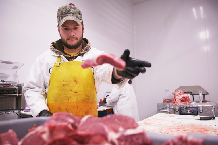 Hardt Purcella tosses a cut into a bin that will be made into hamburger after removing the scraps. Hardt, Brandon's son, has been working with his dad for a few years. Brandon says they work through about one beef per person per day, but are doing extra.