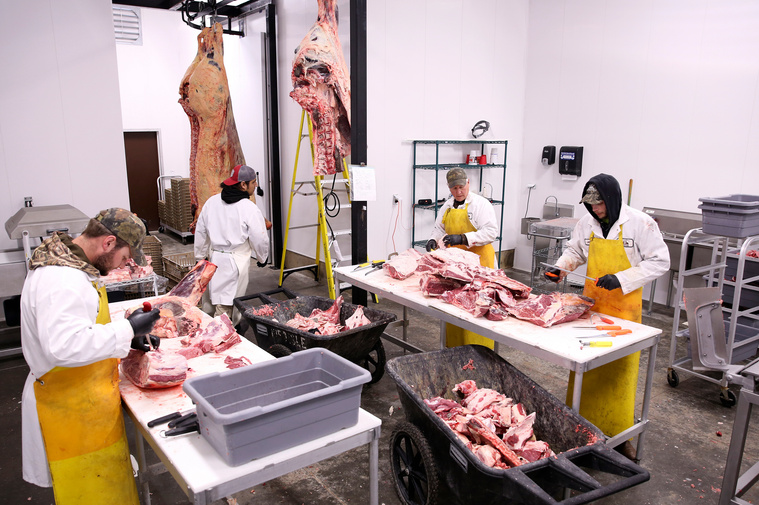 With a total of six employees, Purcella’s Meat Processing is understaffed and overbooked. Brandon Purcella says he has two open positions right now if he could find more people with the right kind of training. 