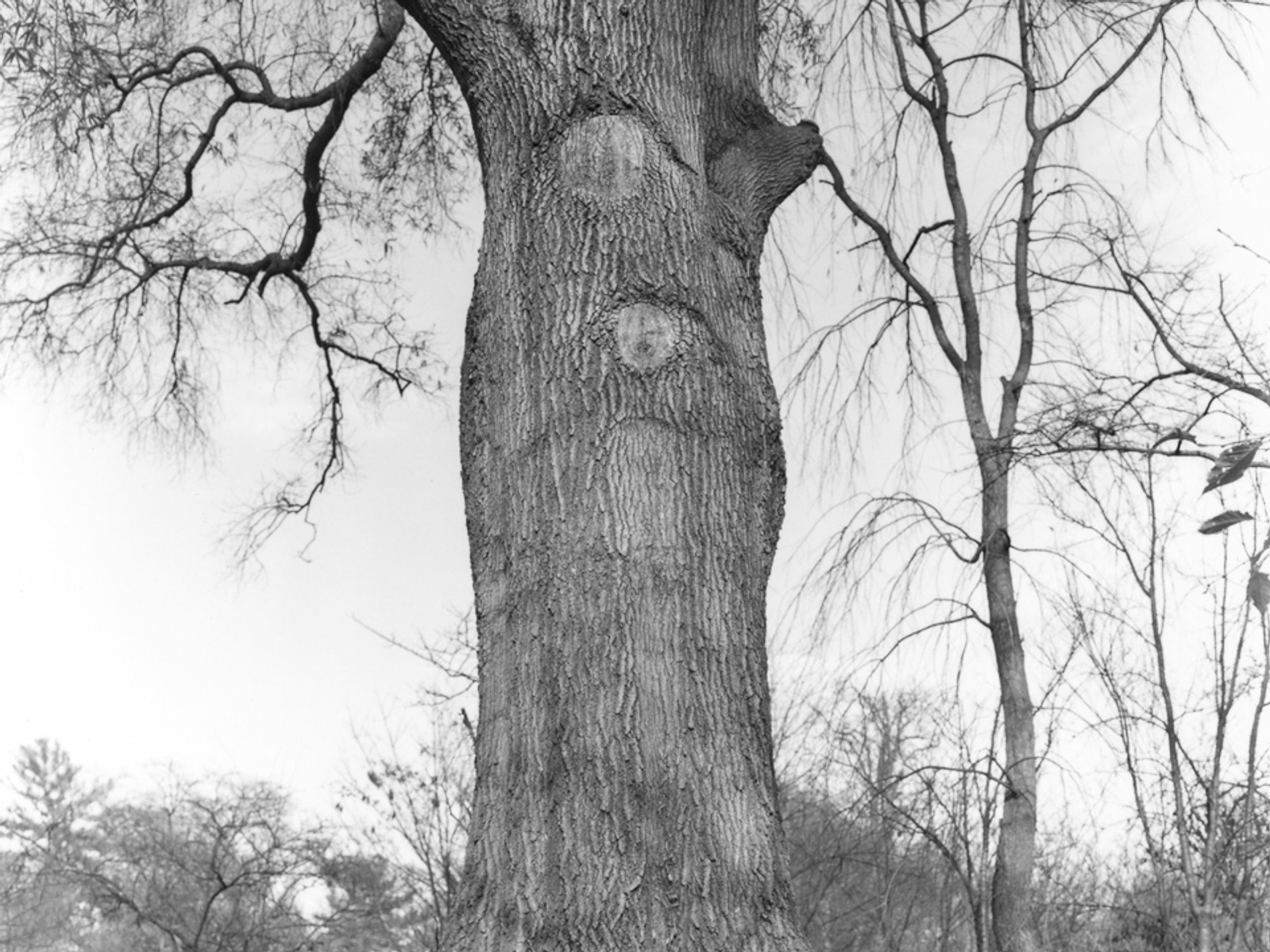 of light and time - Amanda Sauer Photography