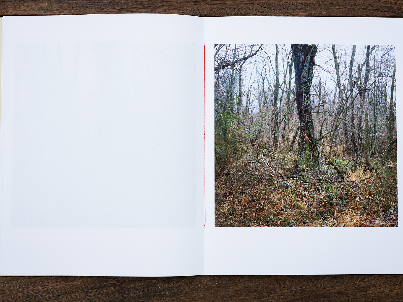 books - Amanda Sauer Photography