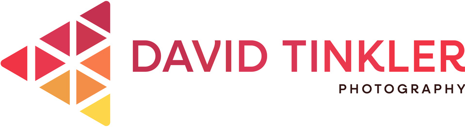 Surrey Wedding Photographer - David Tinkler