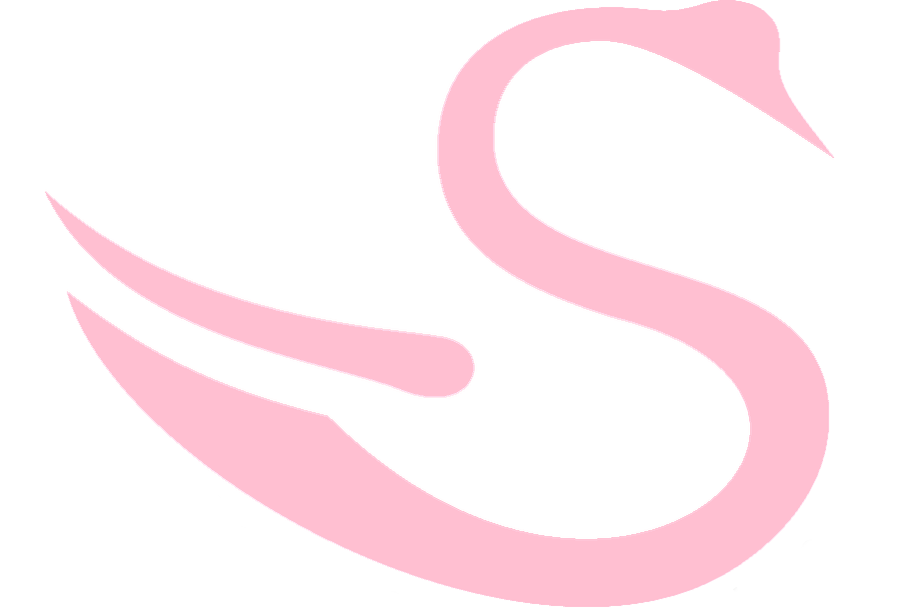 Jake Swan's Portfolio