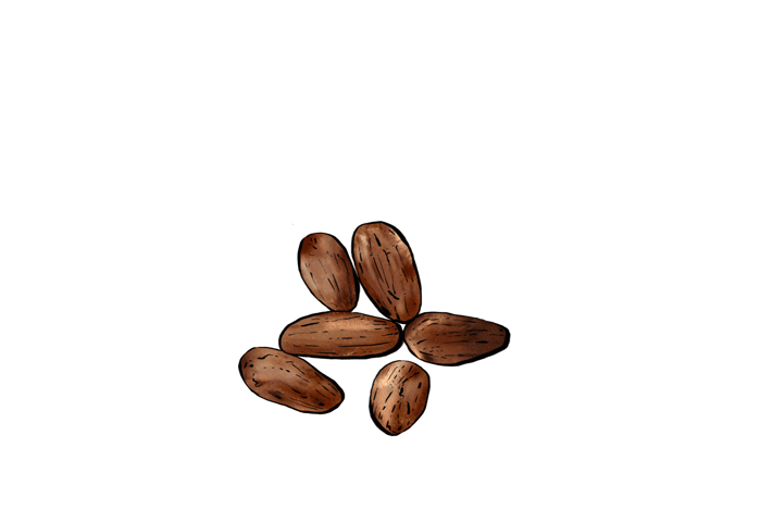 Iveta Karpathyova illustration illustrator animator studio art artist california san francisco toronto canadian food Lindt chocolates chocolate cocoa branding