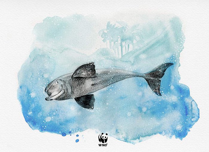 WWF World Wildlife Fund illustrator illustration iveta karpathyova ka artist dolphin collaborator india