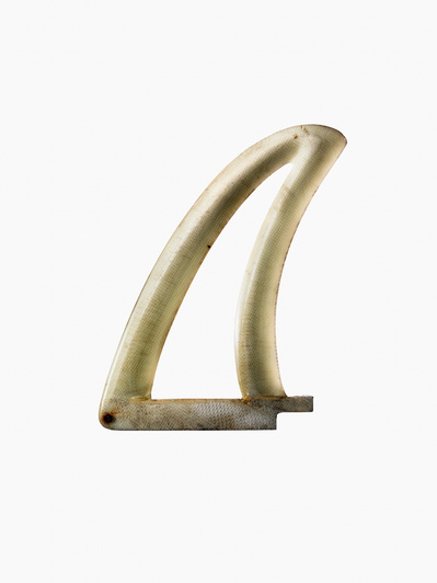 The Fin Project - Personal project photography by commercial photographer and still life photographer Timothy Hogan in Los Angeles