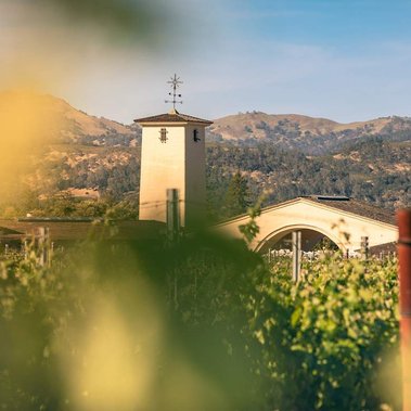 Wine glass and bottle photography by Timothy Hogan in Los Angeles for Robert Mondavi Winery