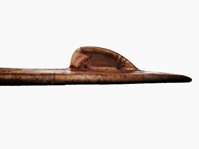 The Fin Project - Personal project photography by commercial photographer and still life photographer Timothy Hogan in Los Angeles