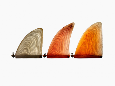 The Fin Project - Personal project photography by commercial photographer and still life photographer Timothy Hogan in Los Angeles