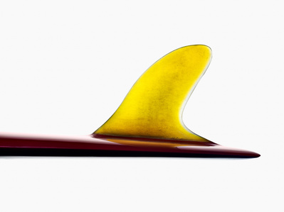 The Fin Project - Personal project photography by commercial photographer and still life photographer Timothy Hogan in Los Angeles